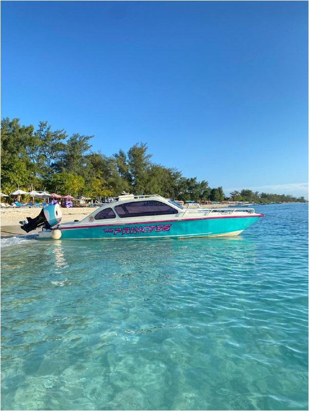 Princess Speedboat docked near the shoreline with clear turquoise water and beach trees in the background